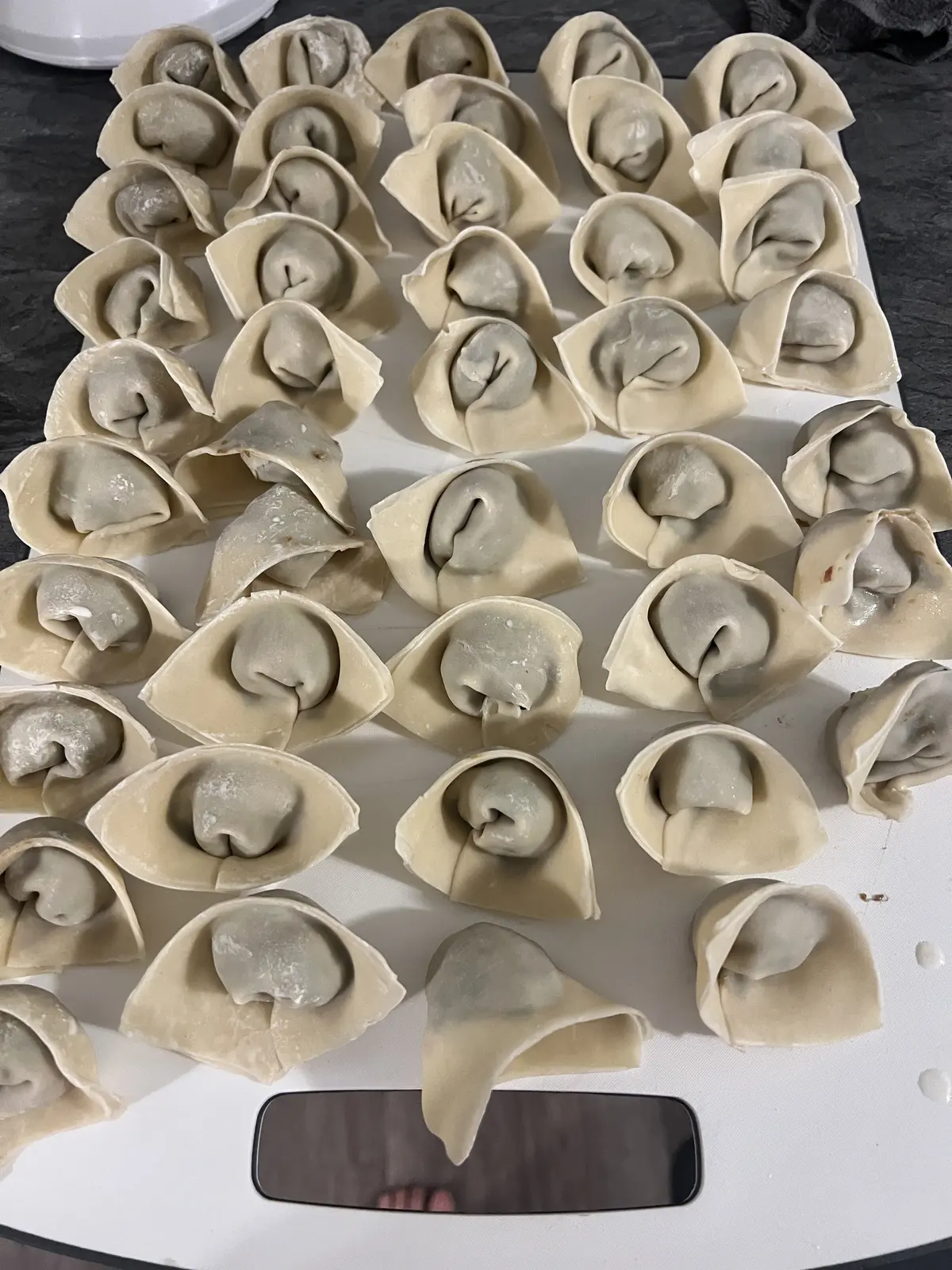 Freshly handmade Chinese wontons